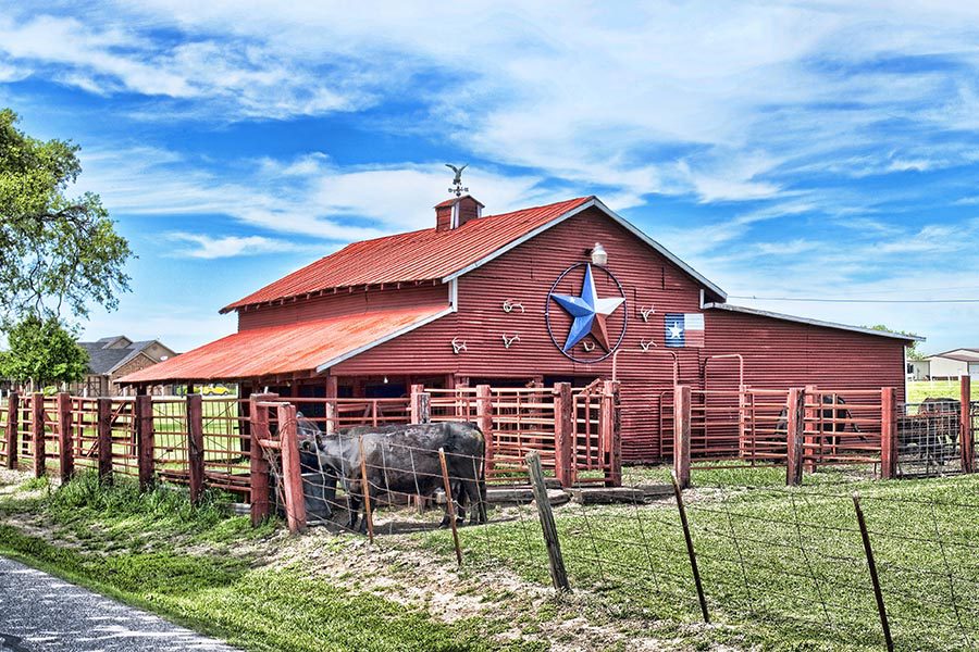 About Our Agency - Red Barn With Black Cows in the Paddock, a Red White and Blue Star on the Side of the Barn