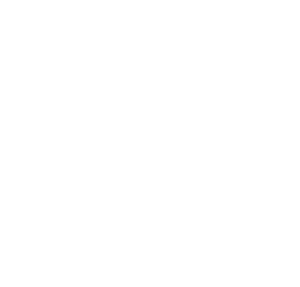 Texas State Outline