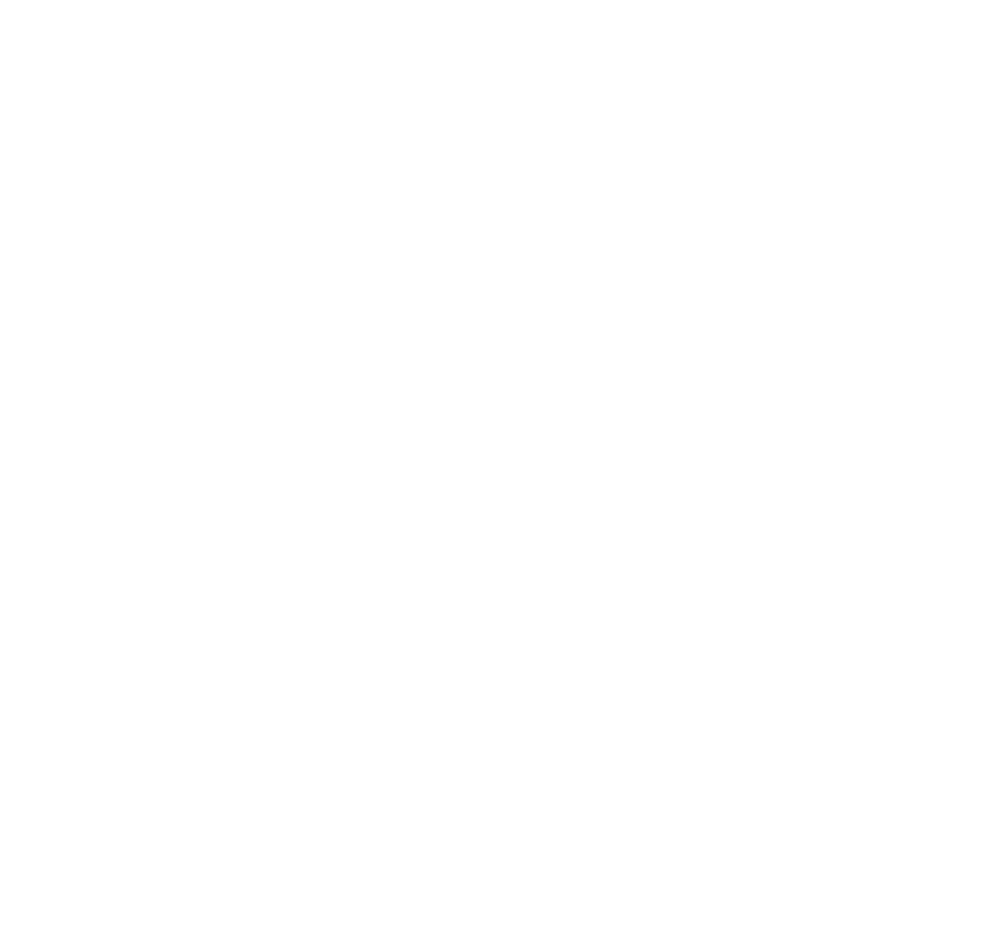 Texas State Outline